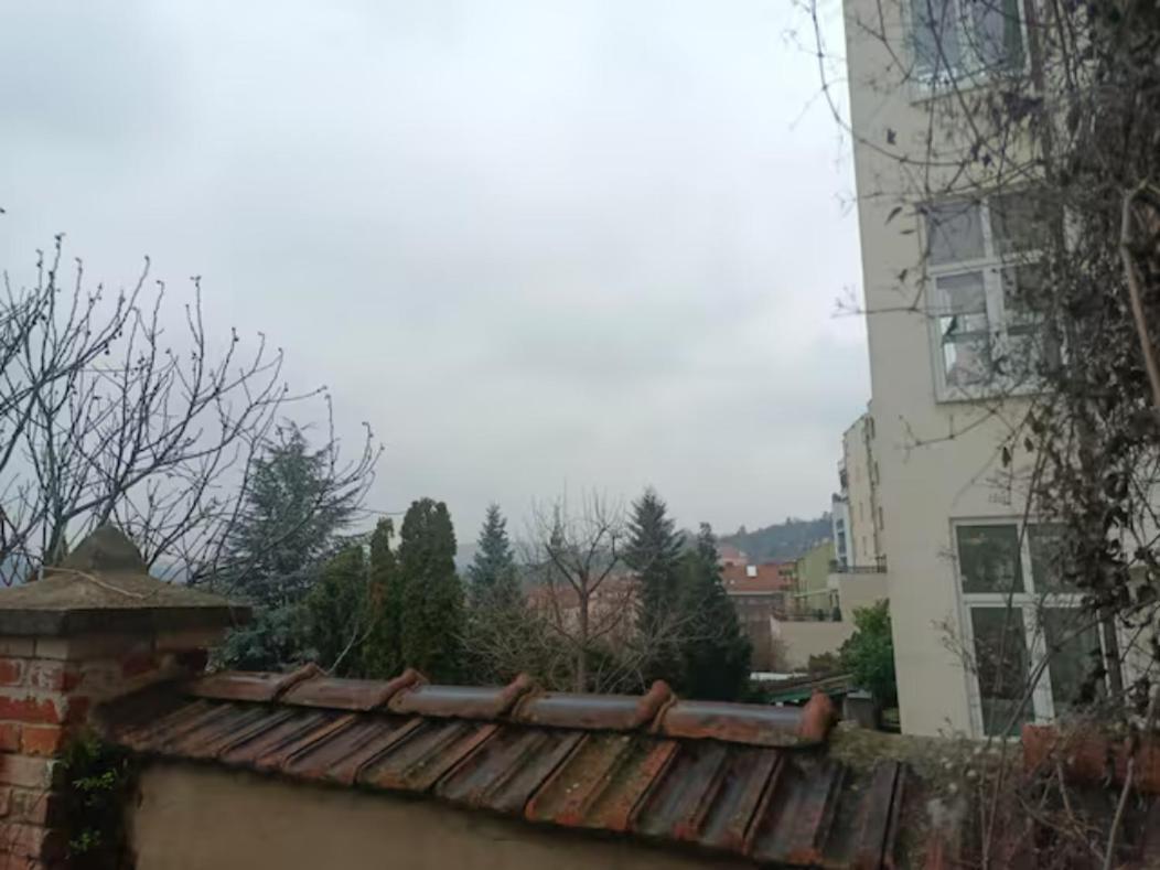 Byt S Terasou A Zahradou Brno Exteriér fotografie