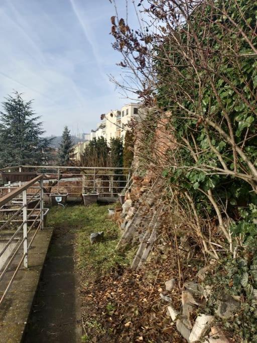 Byt S Terasou A Zahradou Brno Exteriér fotografie
